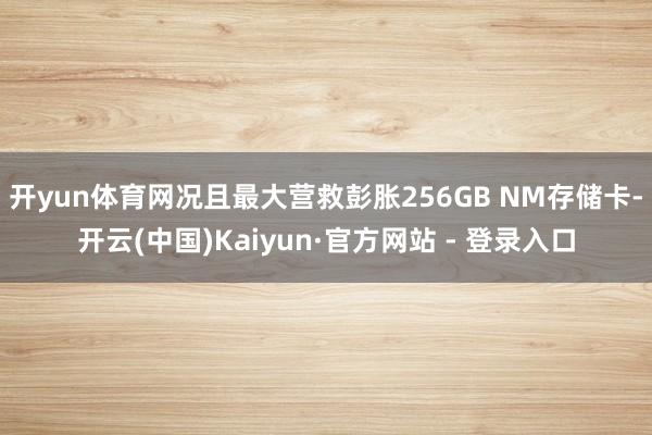 开yun体育网况且最大营救彭胀256GB NM存储卡-开云(中国)Kaiyun·官方网站 - 登录入口